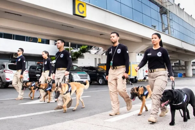 Cinco Nuevos Canes Antidrogas Refuerzan la Lucha contra el Narcotráfico en Paraguay**